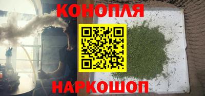 прущие грибы Тверь