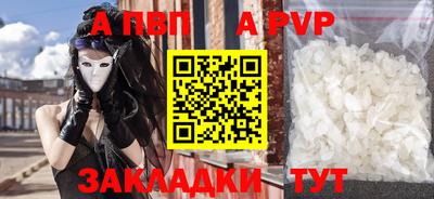 прущие грибы Тверь